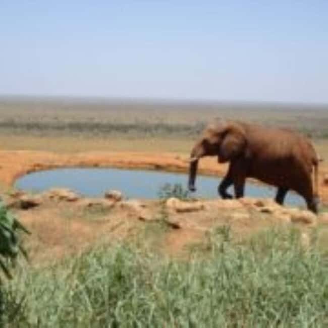 From Mombasa: Day Tour to Tsavo East National Park - Who Is This Tour Best For?