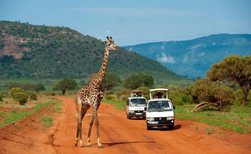 From Mombasa/Diani/Mtwapa: Tsavo East National Park Day Tour - Authentic Insights from Travelers