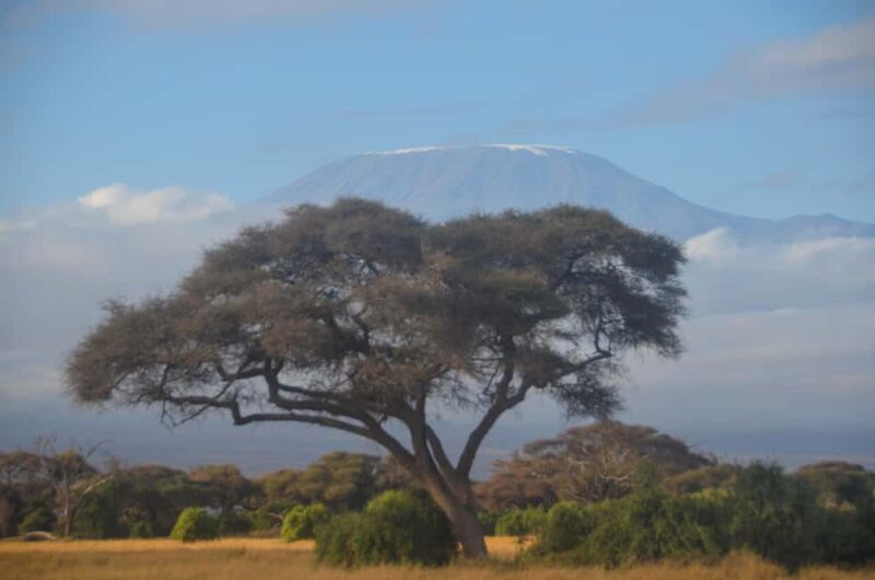 From Mombasa/Diani:5-Day Safari-Taita Hills, Amboseli, and - An In-Depth Look at the 5-Day Safari Experience