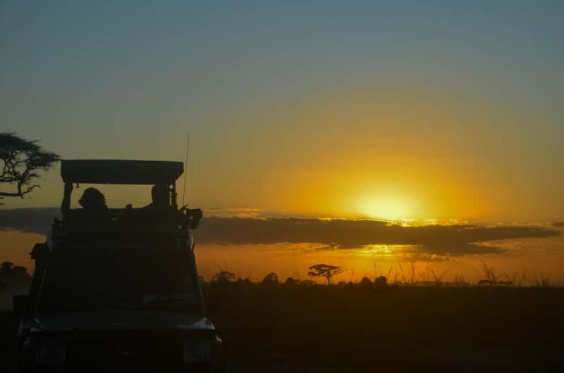 From Mombasa/Diani:5-Day Safari-Taita Hills, Amboseli, and - Price & Value Analysis