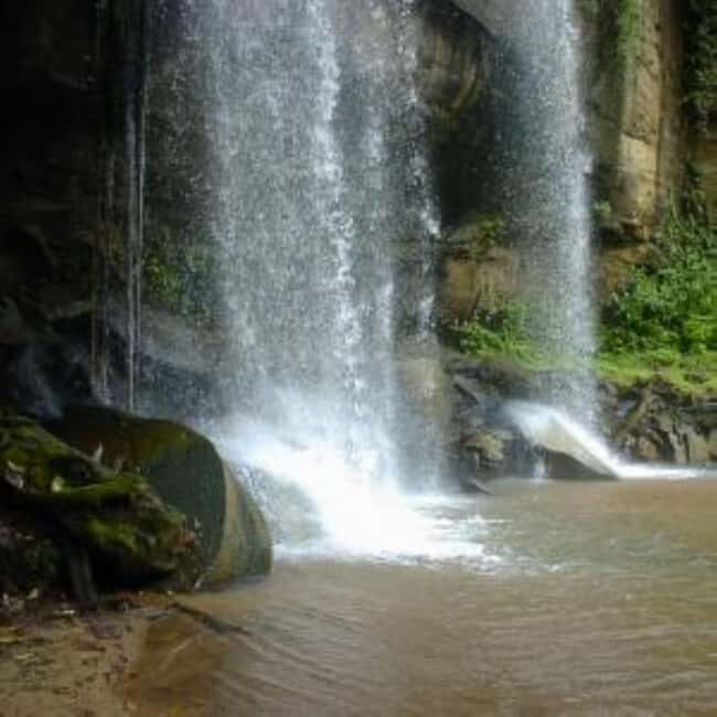 From mombasa: Shimba Hills National Reserve Day Safari - Key Points