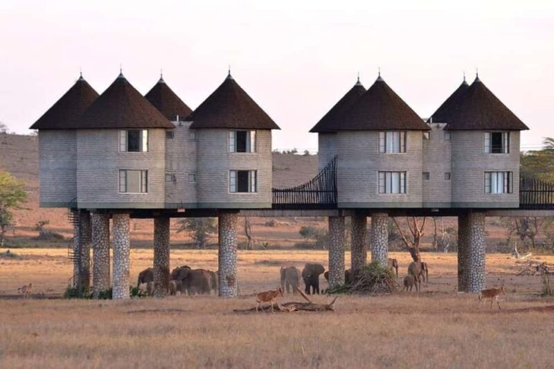 From Mombasa:5 Days Tsavo East,West and Saltlick Lodge safar - Key Points