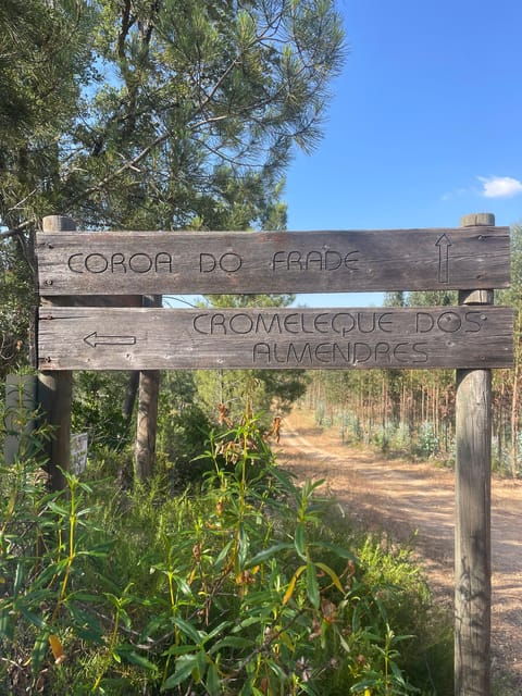 from-montemor-or-evora-guided-hike-to-almendres-megalithic