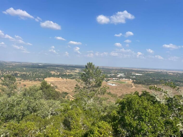 from-montemor-or-evora-guided-hike-to-almendres-megalithic