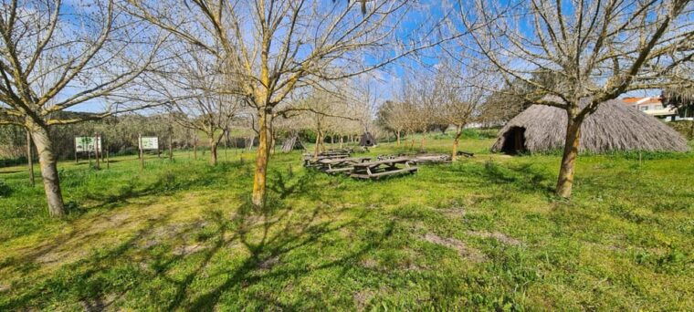 from-montemor-or-evora-guided-hike-to-almendres-megalithic