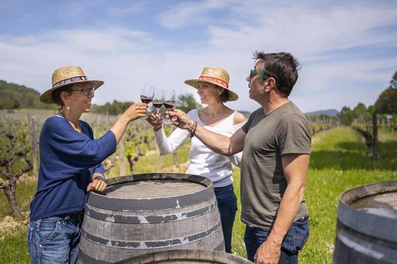 from-montpellier-half-day-vineyard-pic-saint-loup-tour