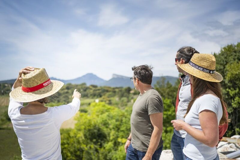 from-montpellier-half-day-vineyard-pic-saint-loup-tour