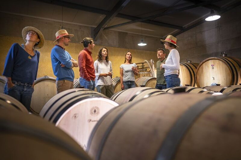 from-montpellier-half-day-vineyard-pic-saint-loup-tour