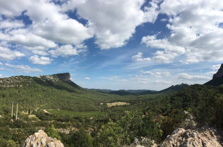 from-montpellier-half-day-vineyard-pic-saint-loup-tour