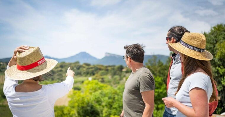 from-montpellier-half-day-vineyard-pic-saint-loup-tour