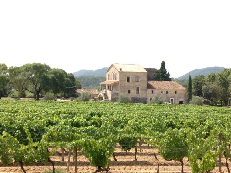 from-montpellier-pic-saint-loup-wine-and-food-tour