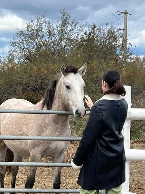 From Montpellier: Visit of Camargue and Aigues-Mortes - An Introduction to the Tour Experience