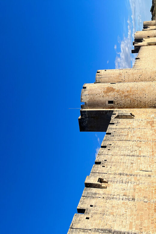 From Montpellier: Visit of Camargue and Aigues-Mortes - Who Will Love This Tour?