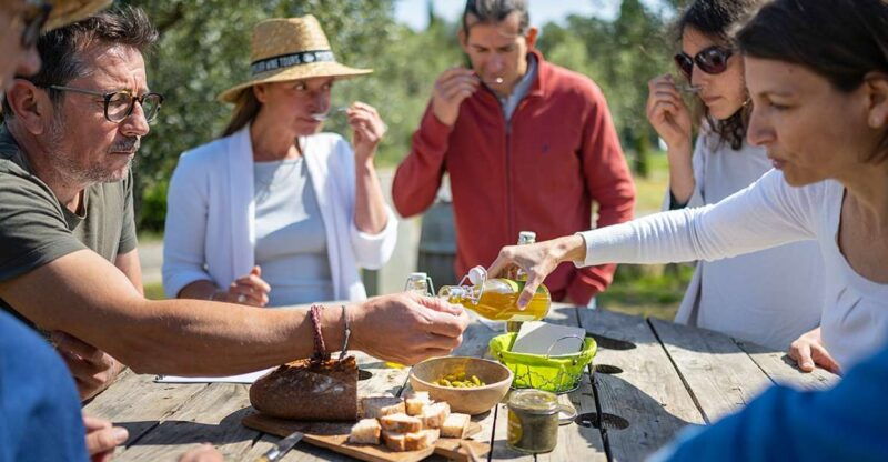 from-montpellier-wine-and-olive-tour