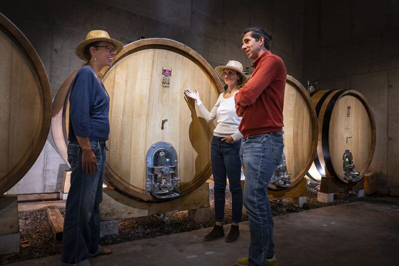 from-montpellier-wine-and-olive-tour