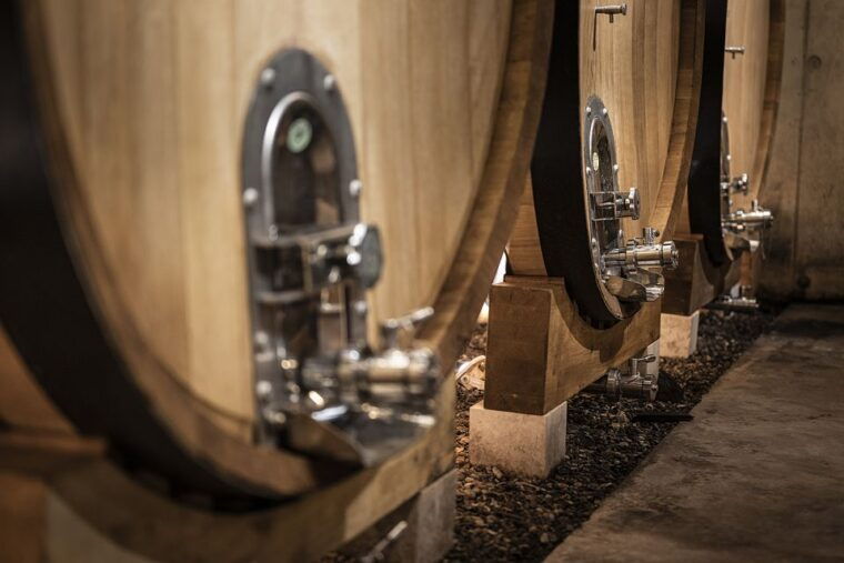 from-montpellier-wine-and-olive-tour