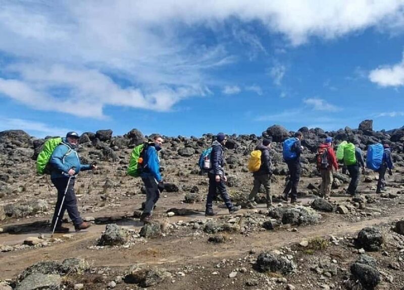 From Moshi - Kilimanjaro hiking Machame route - A 1 Day Tour - An In-Depth Look at the Kilimanjaro Machame Route One-Day Trek