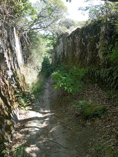 from-mugnano-the-etruscan-pyramid-and-santa-cecilia