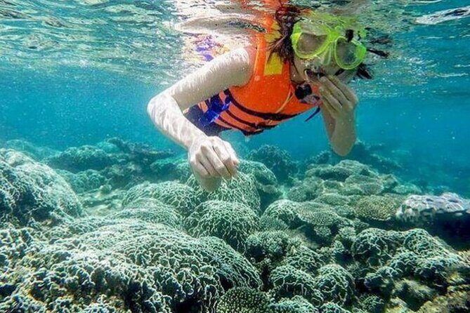 From Mui Ne to Vinh Hy Bay Snorkeling, Hidden Waterfall Adventure - The Journey from Mui Ne to Vinh Hy Bay: What to Expect