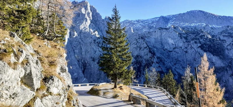 From Munich: Private Day Trip to the Berchtesgaden Alps - Authentic Insights from Past Travelers