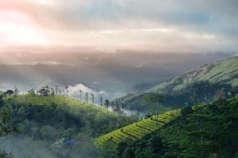 From Munnar: Letchmi Hills Trek Nature Walk Half Day Tour - Why Choose This Trek?