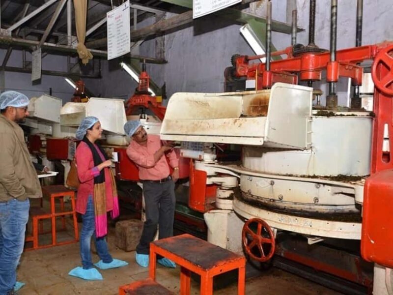 From Munnar: Tea Factory, Plantation, and National Park Tour - Evaluating the Value