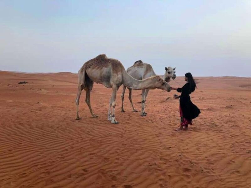 From Muscat: 2-Days, 1 Night in Wahiba Sands - How the Details Add Value