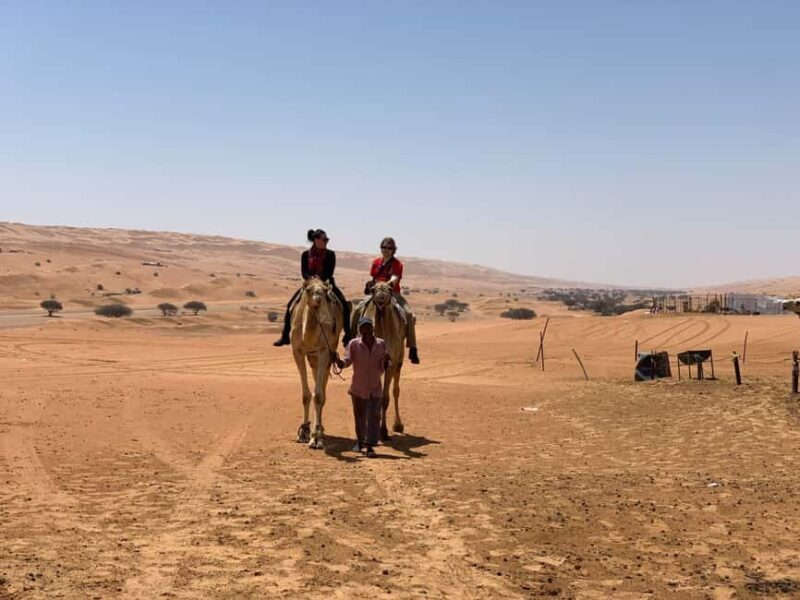 From Muscat: Desert and Wadi Bani Khalid Oasis Full-Day Tour - Final Thoughts: Is It Worth It?
