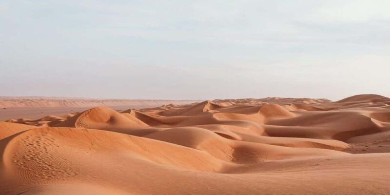 From Muscat: Full Day to Wahiba Sands and Wadi Bani Khalid - The Itinerary: What to Expect on This Full Day Adventure