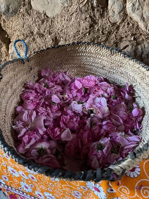 From Muscat: Rose tour in Jebel Akhdar with lunch - Key Points