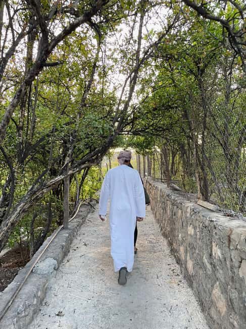 From Muscat: Rose tour in Jebel Akhdar with lunch - The Experience from Reviews & Insider Insights