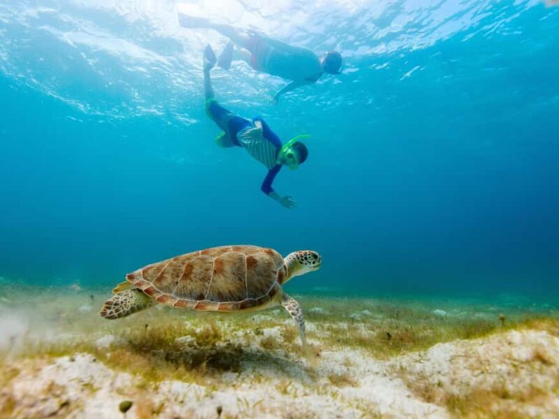 From Muscat: Snorkeling Trip (Dimaniyat Island trip) - Key Points