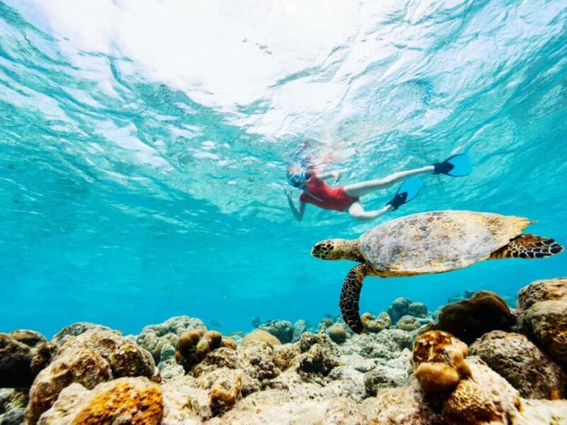 From Muscat: Snorkeling Trip (Dimaniyat Island trip) - How the Trip Is Structured