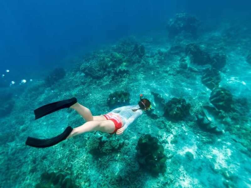 From Muscat: Snorkeling Trip (Dimaniyat Island trip) - Practical Details and Insights