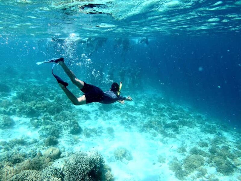 From Muscat: Snorkeling Trip (Dimaniyat Island trip) - Authentic Insights from Visitors