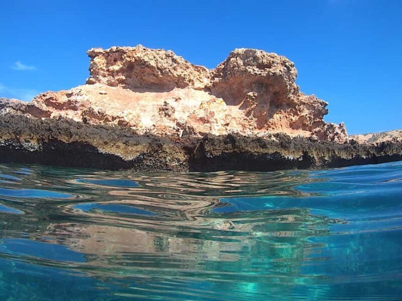 From Muscat: Snorkeling Trip (Dimaniyat Island trip) - FAQs