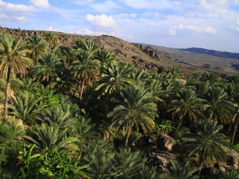 From Muscat: Wadi Al Arbaeen, Fins & Bimmah Coastal Tour - FAQ