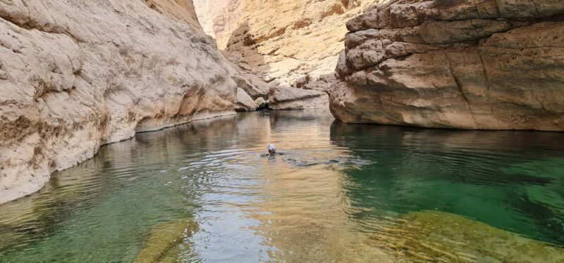 From Muscat: Wadi Al Arbieen Adventure, Sinkhole, Fins Beach - Price and Value  