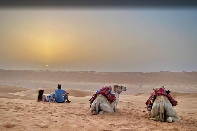 From Muscat: Wadi Hawar and Wahiba Sands Desert Tour - The Experience from the Perspectives of Past Travelers