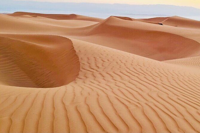 From Muscat: Wadi Hawar and Wahiba Sands Desert Tour - Who Should Consider This Tour?
