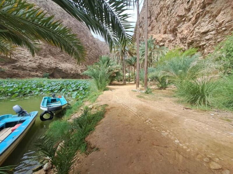 From Muscat: Wadi Shab Expedition - Authentic Experience & Reviewer Insights