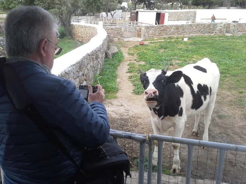 From Mykonos: Ano Mera Farm Tour - Key Points