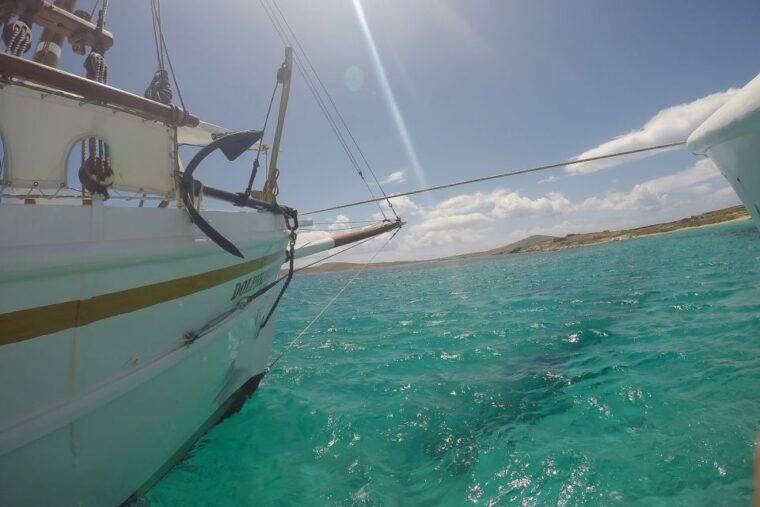 from-mykonos-delos-rhenia-islands-half-day-trip-by-boat