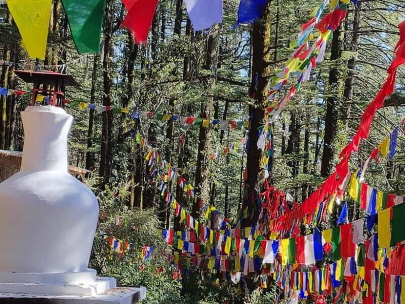 From Naddi: Guided Himalayan Nomad Culture & Nature Walk - Who Will Love This Tour?