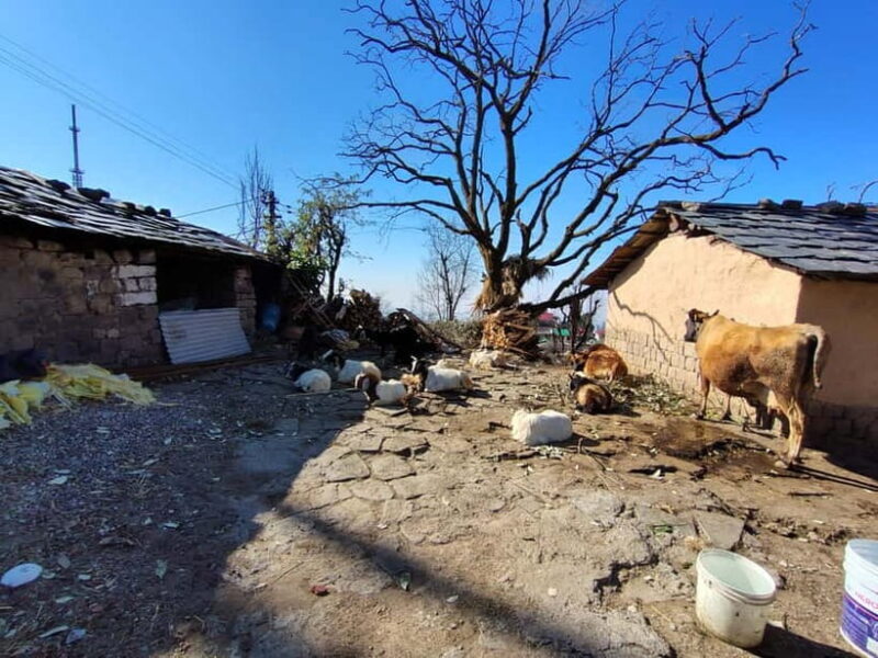 From Naddi: Guided Himalayan Nomad Culture & Nature Walk - FAQ