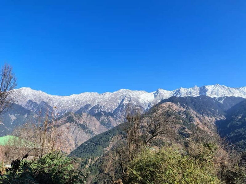 From Naddi: Guided Himalayan Nomad Culture & Nature Walk - Final Thoughts