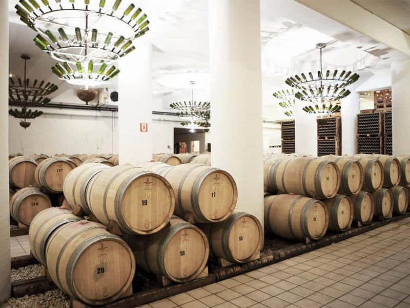 From Nafplio: Nemea, Wine Tasting Tour with Local Flavours - A Closer Look at the Nemea Wine Tour Experience