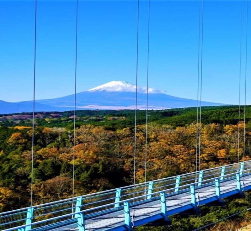 From Nagano: Mount Fuji Highlights & Hidden Landscapes Tour - Key Points