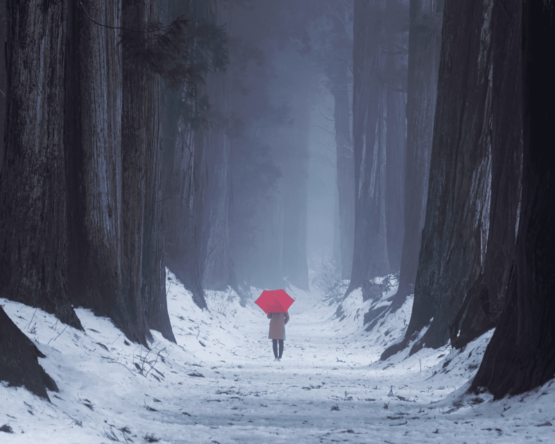 from-nagano-myoko-private-tour-of-togakushi-shrine