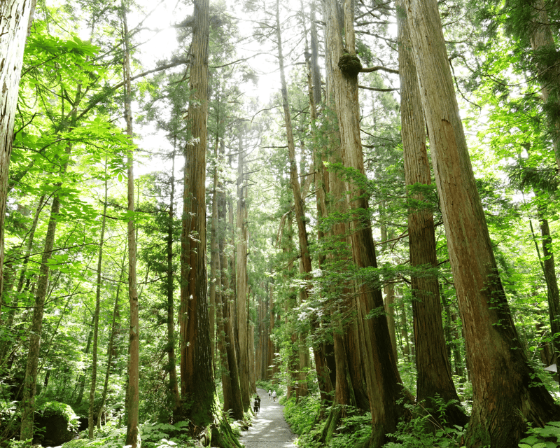 from-nagano-myoko-private-tour-of-togakushi-shrine